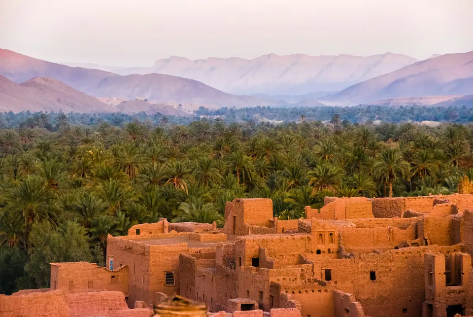 A clay village among palms, with mountains behind.
